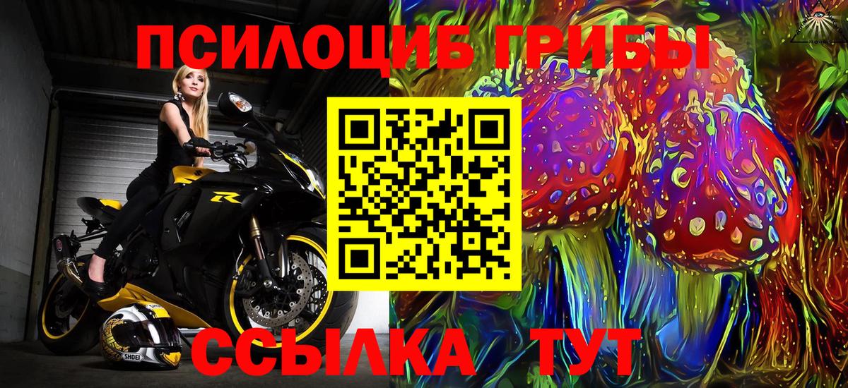 Ангарск  Псилоцибиновые грибы Psilocybine cubensis  что такое наркотик  Вход с VPN 